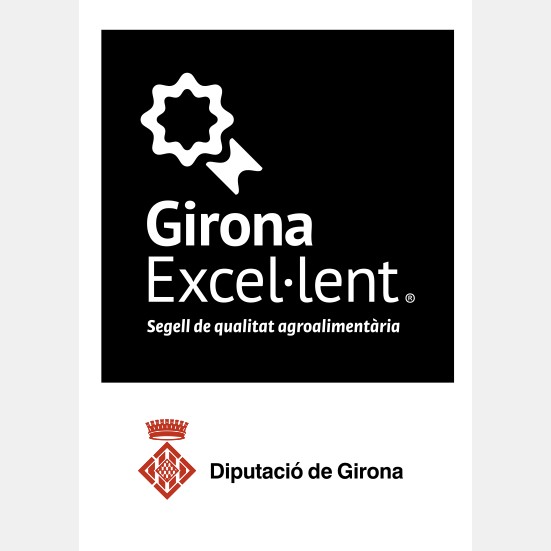 GIRONA EXCEL·LENT